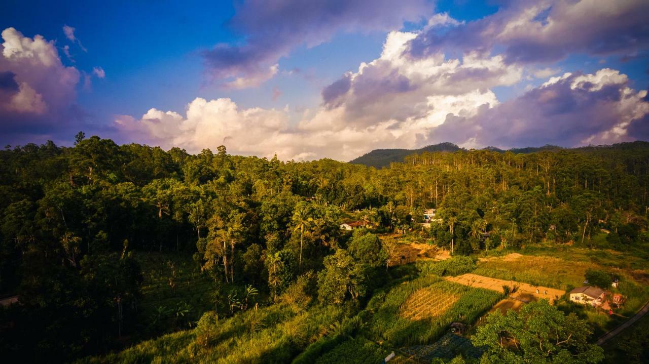 Ella Breeze Homestay エクステリア 写真